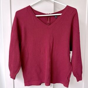 Express V- neck Sweater